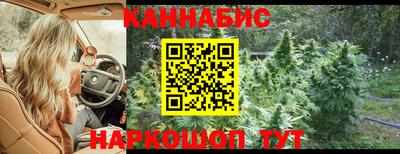 мдпв Рыбинск